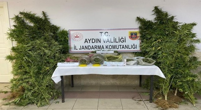 İsabeylide, 2 bin 520 gram uyuşturucu ve 51 kök hint keneviri ele geçirildi