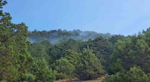 Isparta Senirkentte çıkan orman yangını kontrol altına alındı