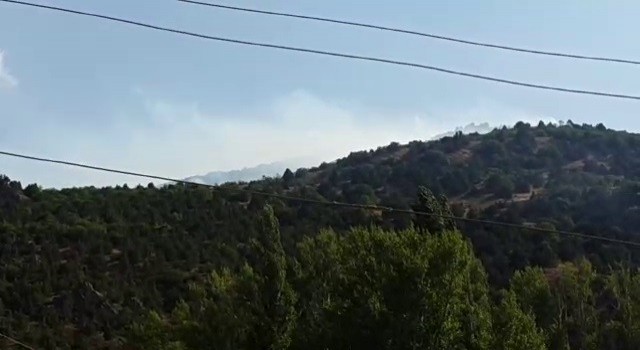 İspirde orman yangını