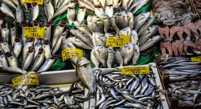 İstanbulda tezgahlarda balık çeşitliliği yaşanıyor