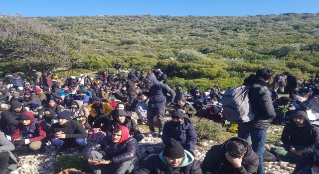 İzmirde jandarmadan göçmen kaçakçılığı operasyonu: 19 olayda 343 göçmen yakalandı