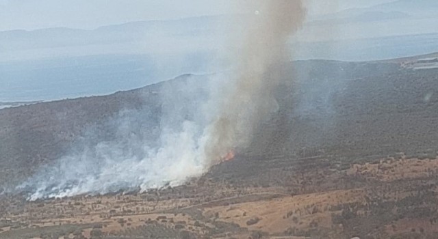 İzmirde makilik alanda yangın