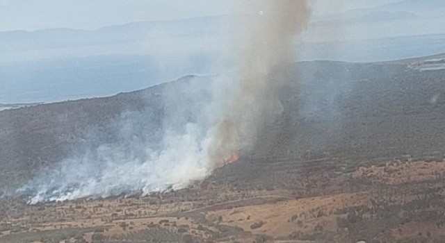 İzmirde makilik alandaki yangın kontrol altında