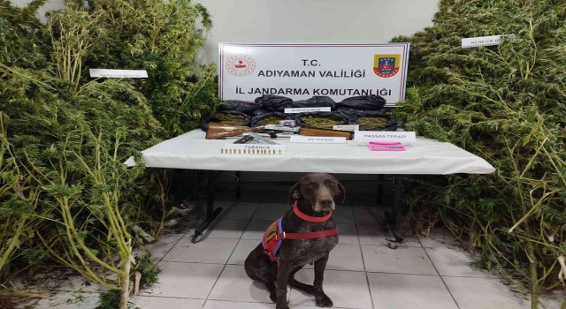 Jandarma Gerger ilçesinde uyuşturucu ele geçirdi