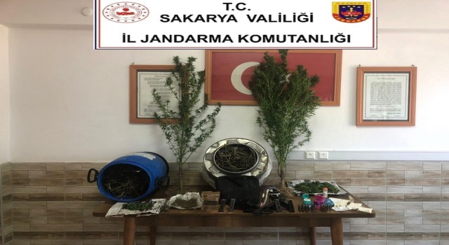 Jandarmadan uyuşturucu operasyonu: 1 gözaltı