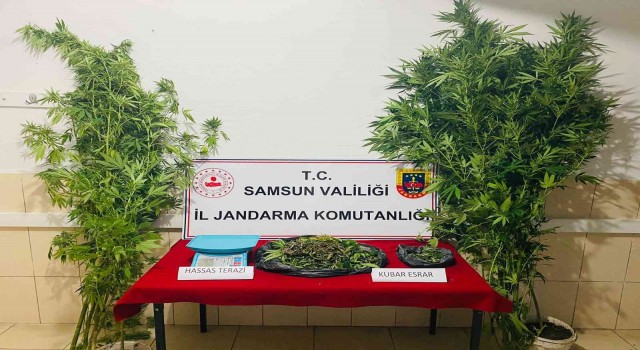Jandarmadan uyuşturucu operasyonu: 1 gözaltı
