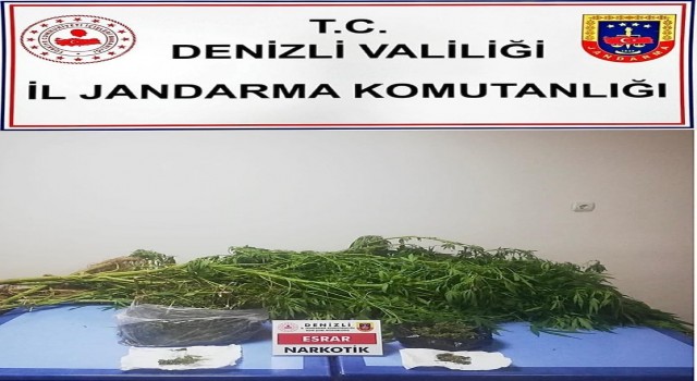 Jandarmadan zehir tacirine darbe