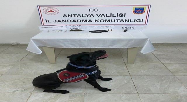 Jandarmanın durdurduğu araçtan, tabanca, bıçak ve uyuşturucu çıktı.
