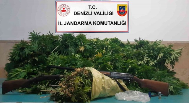 Jandarmanın operasyon düzenlediği evden 2,6 kilo esrar çıktı