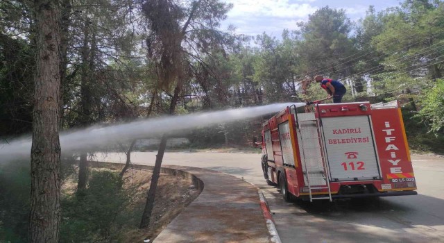 Kadirlide çamlık alanda çıkan yangın büyümeden söndürüldü