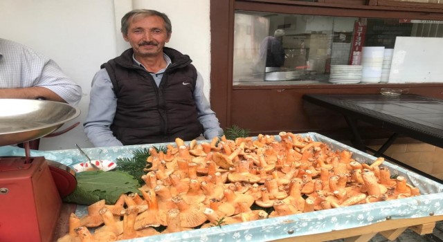 Kanlıca mantarı kilosu 100 TLden pazardaki yerini aldı