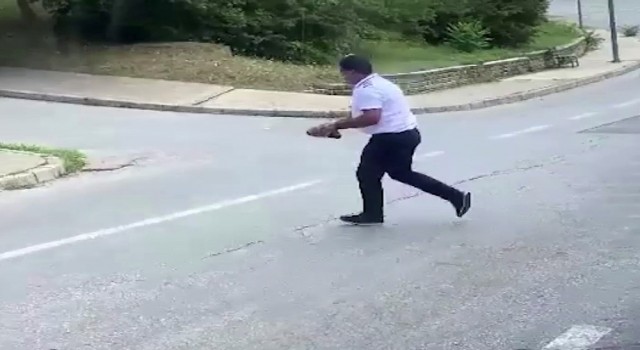Kaplumbağanın ezilmemesi için yaptığı hareket takdir topladı