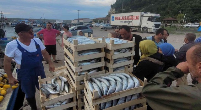 Karadenizde balıkçılar kasa kasa palamutla döndü: Vatandaşlara ücretsiz dağıtıldı