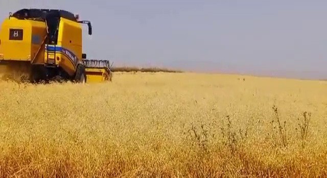 Karsta emekler ekmeğe dönüşüyor