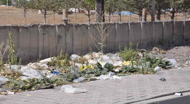 Karsta gelişi güzel atılan çöpler çevreyi kirletiyor