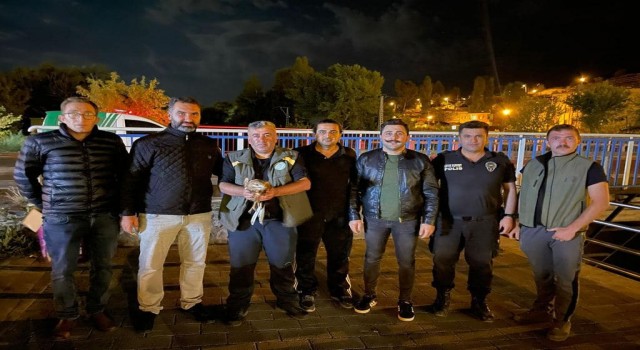 Karsta kızıl şahin tedavi altına alındı