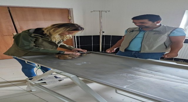 Karsta yaralı tedavi altına alındı
