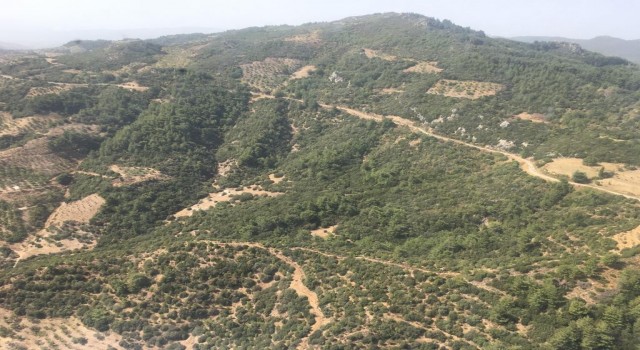 Kayıp avcıyı arama çalışmalarına Jandarma Helikopter Filo Komutanlığı da katıldı