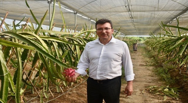 Kaymakam Şahinin son projesi “Efeler Kekik Kokuyor” oldu