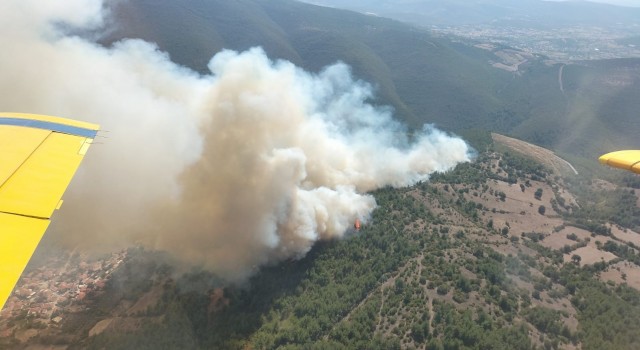 Kepsutta orman yangını