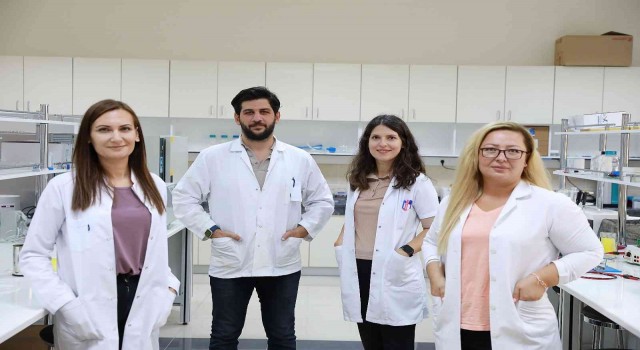 Kireçlenme tedavisi için önemli çalışma