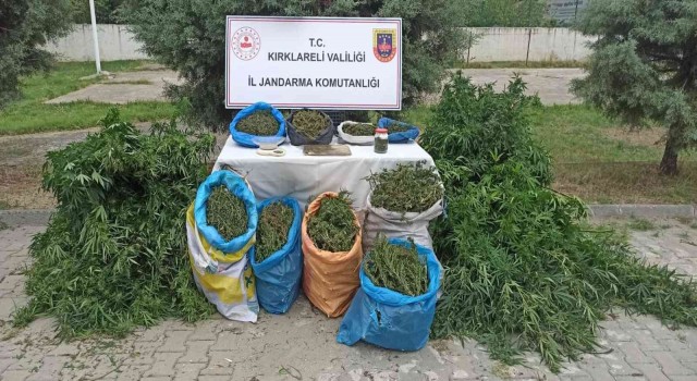 Kırklarelide uyuşturucu operasyonu: 2 tutuklu