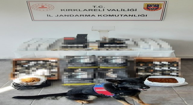 Kırklarelinde kaçak tütün operasyonu