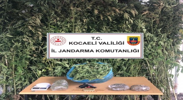 Kocaelide 4 kilo 825 gram esrar ele geçirildi