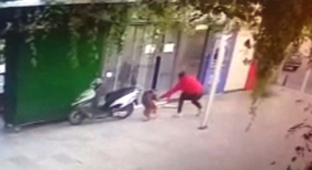 Köpeği bıçaklayarak öldürdü, o anlar güvenlik kamerasına yansıdı