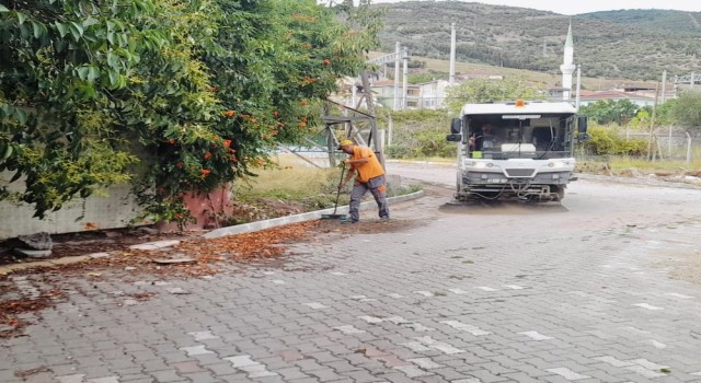 Körfezde sonbahar temizliği başladı