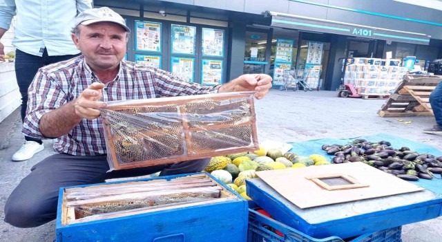 Kursta öğrendiği arıcılıkla meslek sahibi oldu