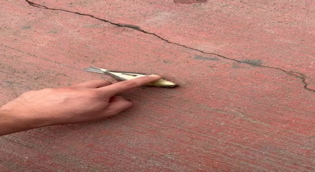 Kuşu kalp masajıyla hayata döndürdü