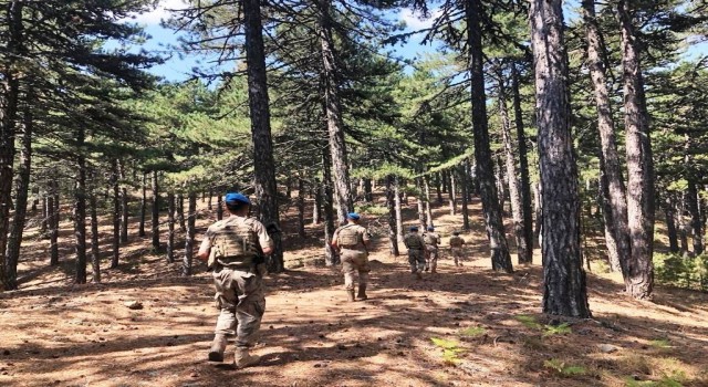 Kütahya ve ilçelerinde orman yangınları ile mücadele tedbirleri