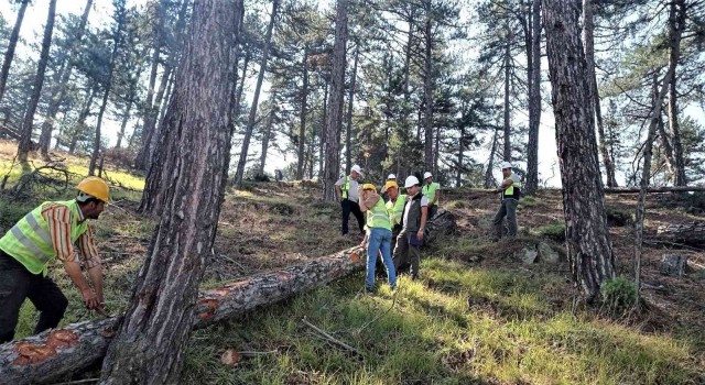 Kütahyada üretim sahalarında orman emvalleri kontrolleri