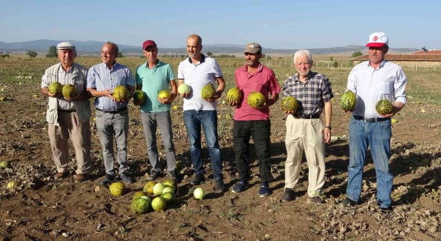 Kütahyanın meşhur Terziler kavunu tezgahlardaki yerini aldı