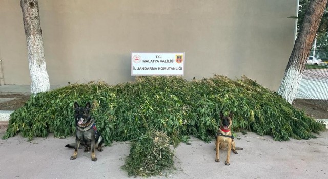 Malatyada dronlu uyuşturucu operasyonu