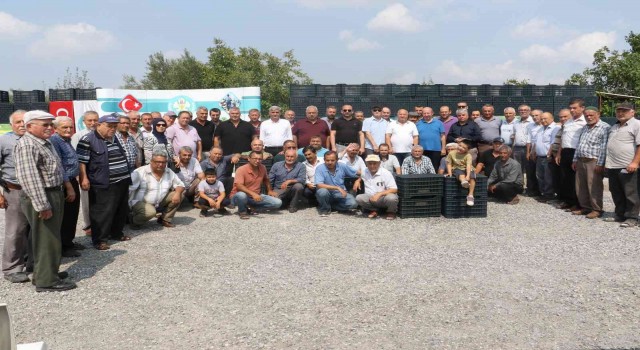 Manisada 72 bin zeytin kasası üreticilerle buluştu