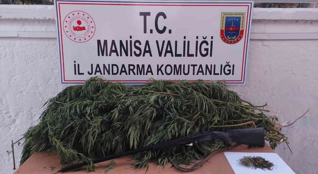 Manisada uyuşturucu operasyonları: 1 kişi tutuklandı