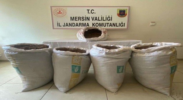 Mersinde 350 kilogram kaçak tütün ele geçirildi