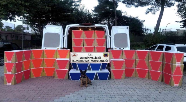 Mersinde 630 bin adet kaçak makaron ele geçirildi