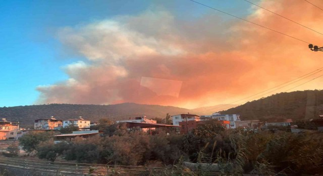 Mersinde orman yangını: Havadan ve karadan müdahale için ekipler harekete geçti