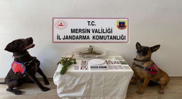 Mersinde uyuşturucu operasyonu: 1 tutuklama