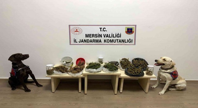 Mersinde uyuşturucu operasyonu