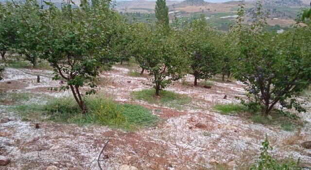 Mersinde yüksek kesimlerde dolu etkili oldu