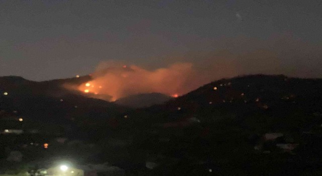 Mersindeki orman yangını 13 saattir sürüyor: Alevler geceyi aydınlattı