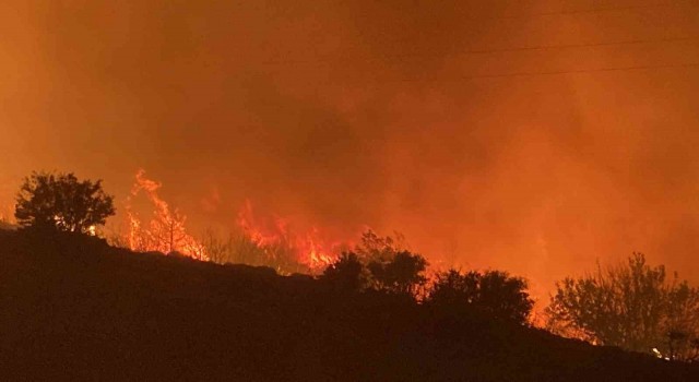 Mersindeki orman yangını D-400 karayoluna ulaştı, yol kapatıldı