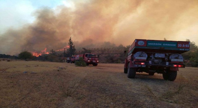 Mersindeki orman yangınına 3 uçak, 2 helikopterle müdahale ediliyor