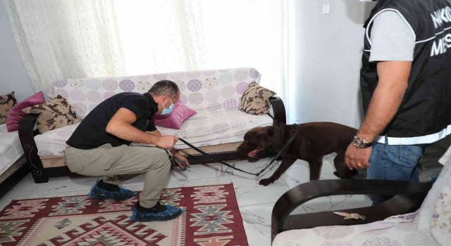 Mersindeki uyuşturucu operasyonunda gözaltı sayısı 67ye çıktı