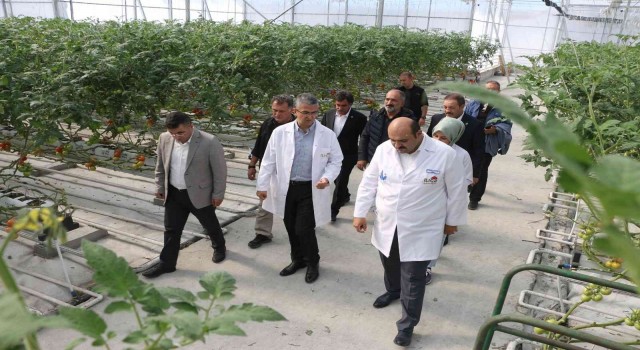 MHP Genel Başkan Yardımcısı Aydından Jeotermal Domates Seralarına tam puan