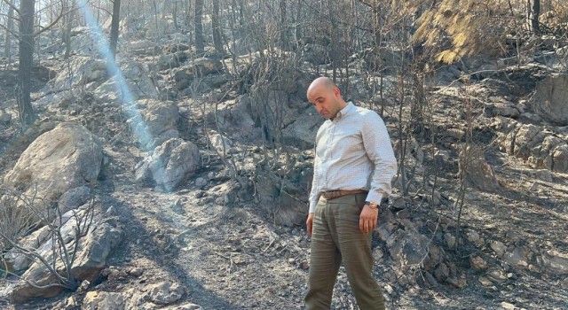 MHPli Kılavuz, Mersindeki yangın bölgesinden incelemelerde bulundu